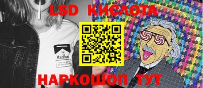 прущие грибы Моздок