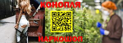 прущие грибы Моздок