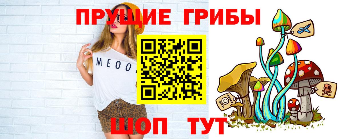 Псилоцибиновые грибы Psilocybe  Вход с VPN  Семилуки 