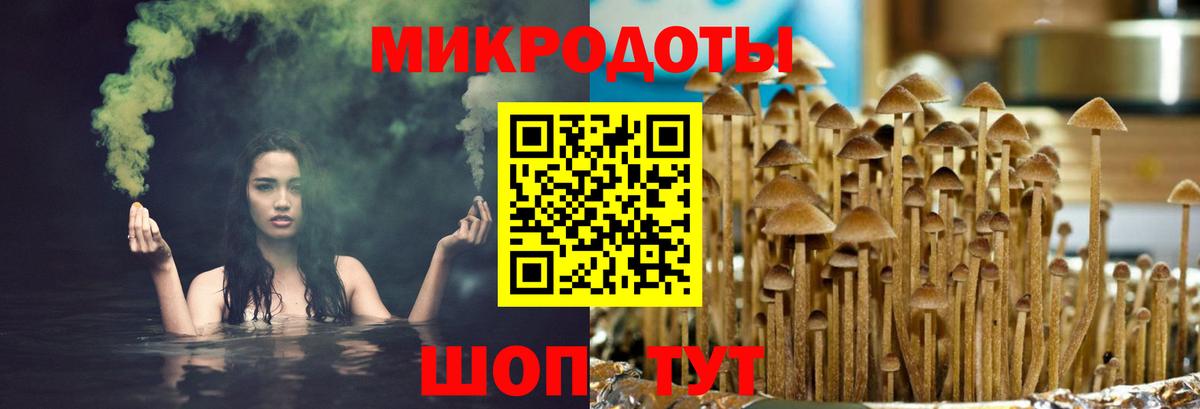 Псилоцибиновые грибы ЛСД Семилуки